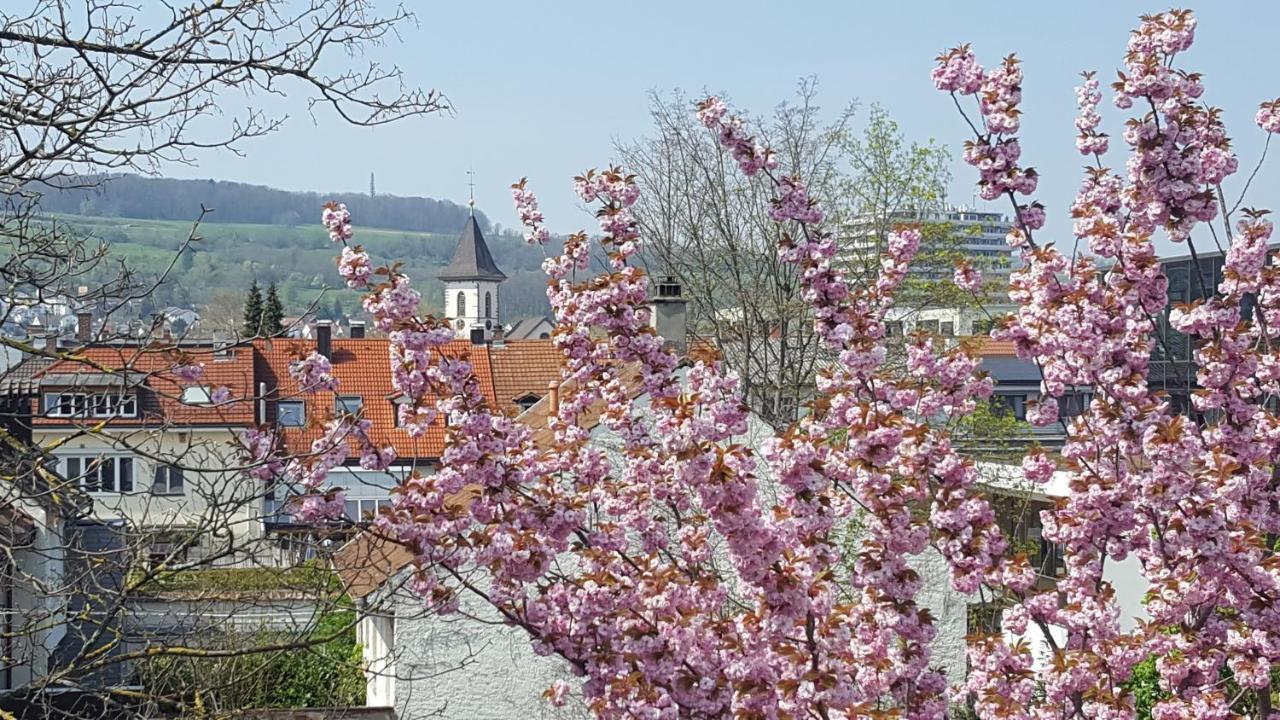 Villa Am Rosenfelspark Lörrach Eksteriør billede