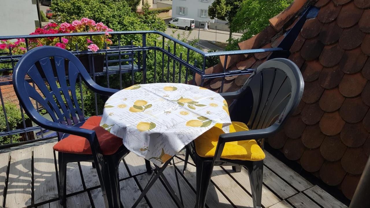 Villa Am Rosenfelspark Lörrach Eksteriør billede