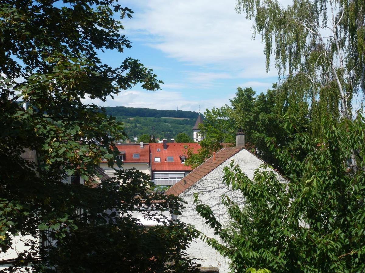 Villa Am Rosenfelspark Lörrach Eksteriør billede