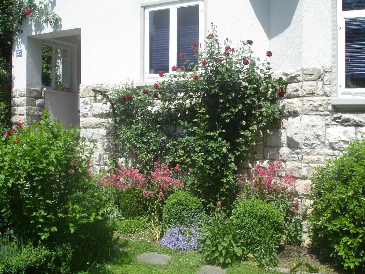 Villa Am Rosenfelspark Lörrach Eksteriør billede