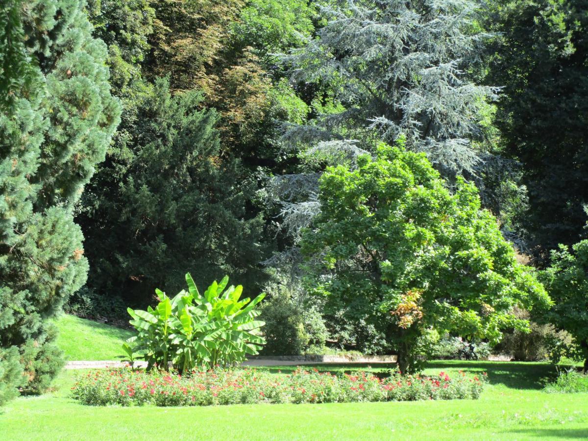 Villa Am Rosenfelspark Lörrach Eksteriør billede