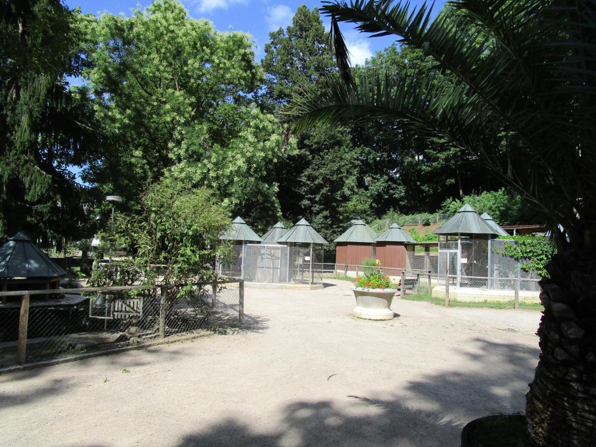 Villa Am Rosenfelspark Lörrach Eksteriør billede